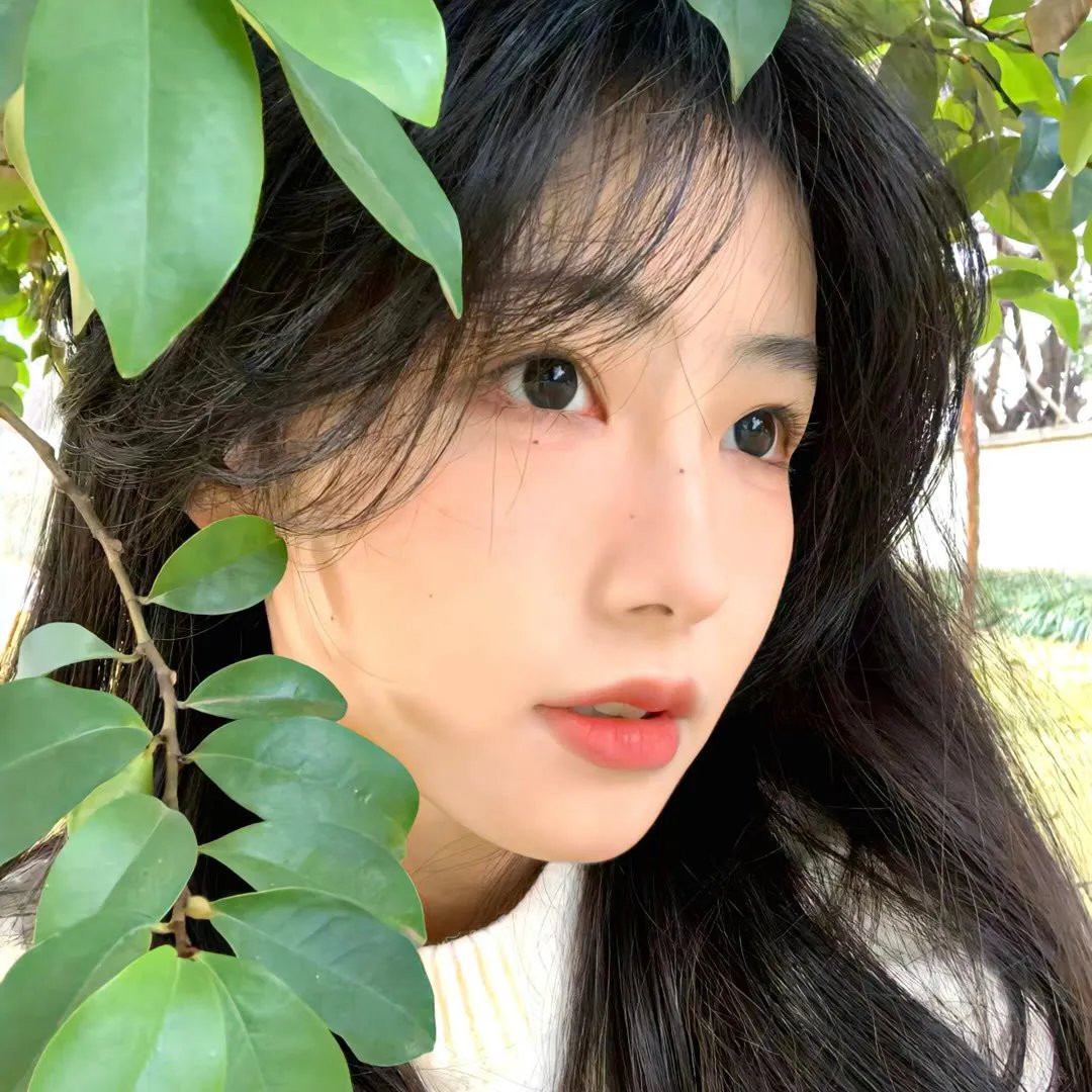 查莉成长日记第一季
